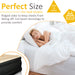  Queen Size Air bed