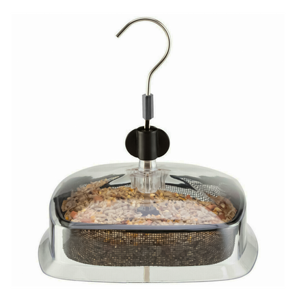 Bird seed feeder hanging from garden fence bracket UK